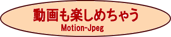 y߂@Motion-Jpeg